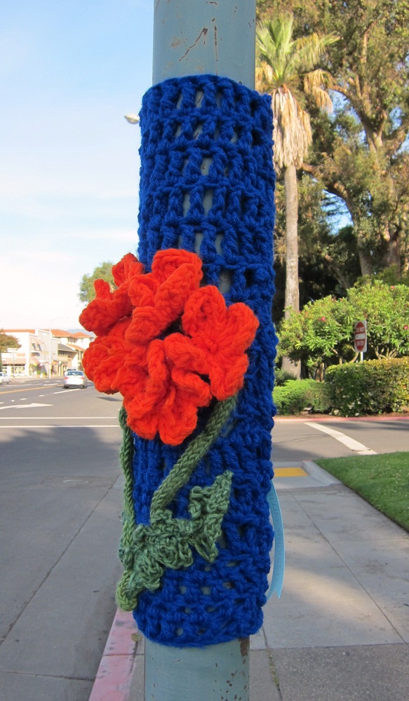 California Poppies at Sonoma Plaza